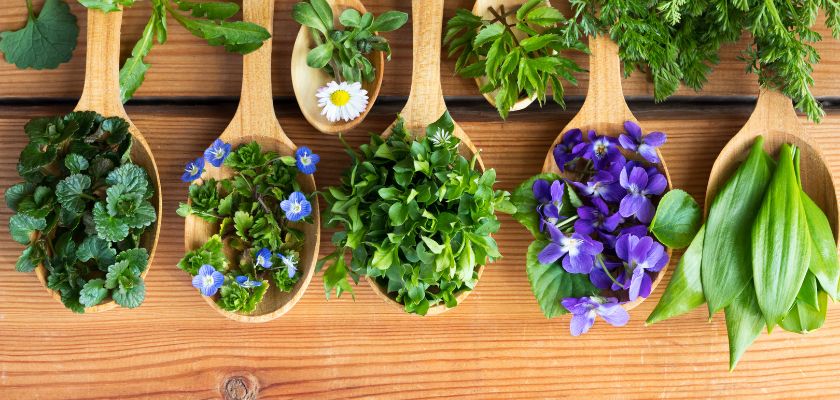 Choosing the Right Edible Plants
