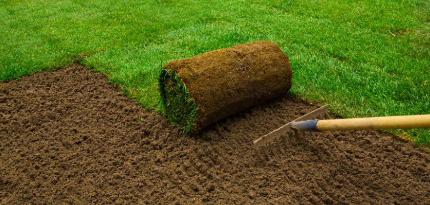 Incorrect Sod Laying Techniques