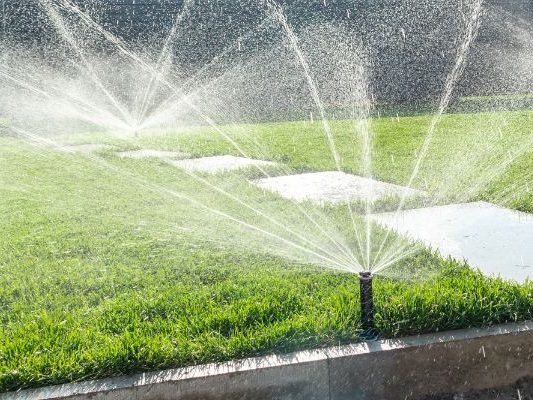 Role of Sprinkler Systems in Sustainable Landscaping