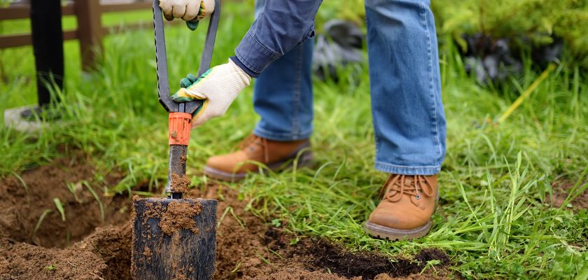 Assessing Your Yards Condition