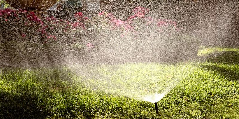 Common Sprinkler System Problems