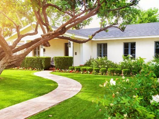 Dealing with Common Lawn Diseases