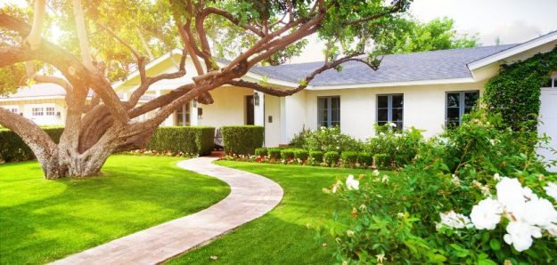 Dealing with Common Lawn Diseases