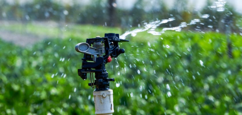 Identifying Common Sprinkler System Problems