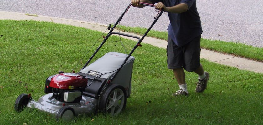 Preparing for Your Yard Cleanup