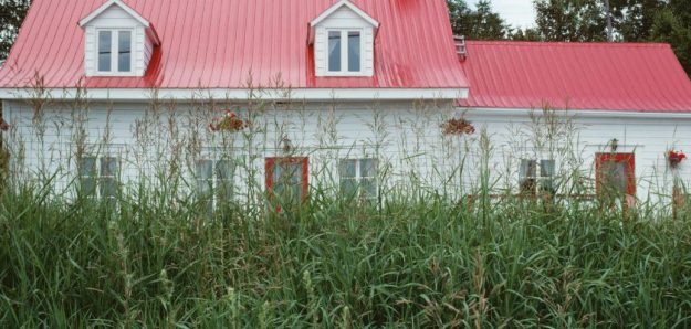 Tackle Overgrown Yards